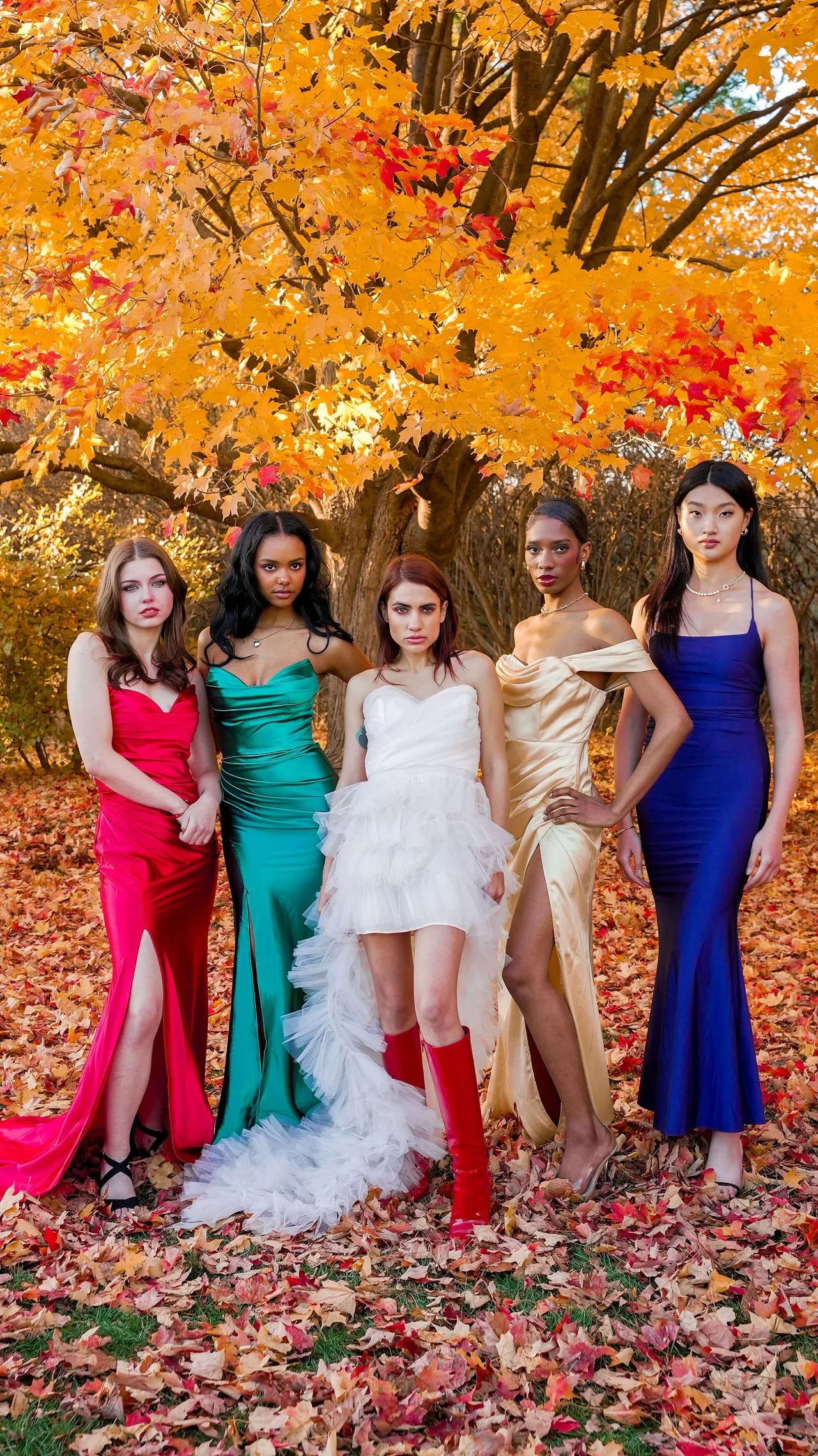 Five models in jewel-toned gowns in pink, emerald, white, gold and blue beneath a golden maple.